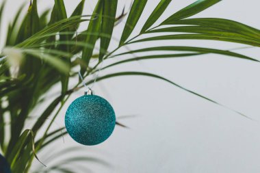 Alternatif Noel ağacı çiçeği ve Noel mücevherleri.