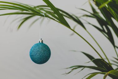 Alternatif Noel ağacı çiçeği ve Noel mücevherleri.