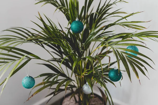 Alternatywne choinki roślin palmowych z bombki świąteczne dla — Zdjęcie stockowe