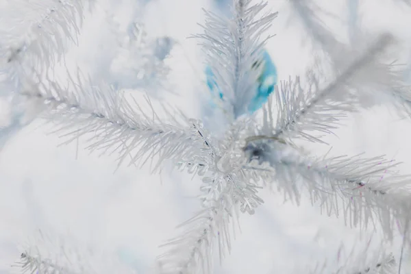 Christmas tree with white frosted snow style with snowflakes dec — Stock Photo, Image