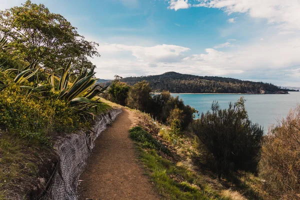 Pemandangan panorama dari pemandangan pantai Tasmania yang murni di Australia — Stok Foto
