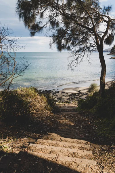 Pristine Natural Beach Tasmania Australia Typical Rugged Landscape People — Stock Photo, Image