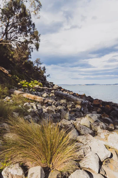 Nieskazitelna Naturalna Plaża Tasmanii Australia Typowy Surowy Krajobraz Bez Ludzi — Zdjęcie stockowe