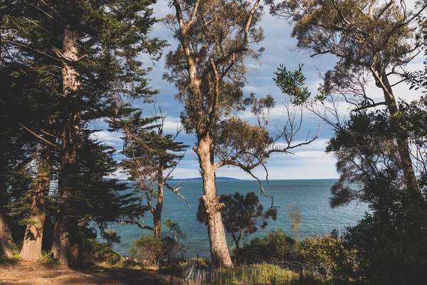 Panorámás kilátás nyílik érintetlen Tasmania tengerparti táj Ausztráliában — Stock Fotó