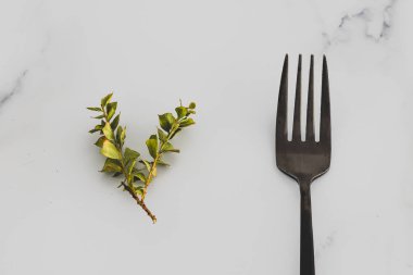 Bitki temelli diyet siyah çatalın yanında yeşil yaprakların küçük bir dalı