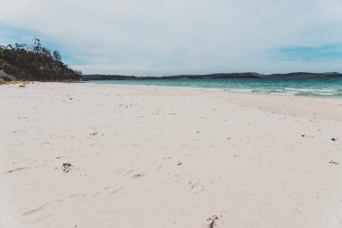 Tazmanya, Avustralya 'daki bahar plajı el değmemiş ve ıssız görünüyor.