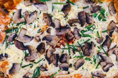 eggplant parmigiana with vegn cheese just out of the oven 