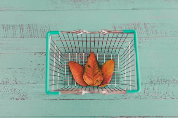 Choosing eco-friendly products, shopping basket with leaves — Stock Photo, Image