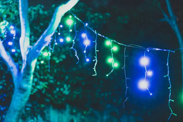 Coloridas luces de hadas de Navidad al aire libre colgando de los árboles en — Foto de Stock