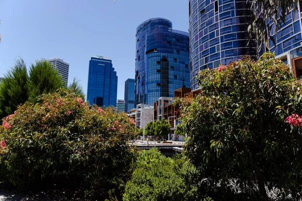 Widok Elizabeth Quay w Perth Cbd z panoramą i nowoczesnym — Zdjęcie stockowe