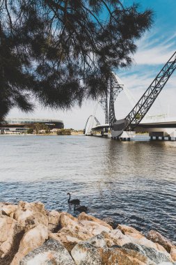 Perth City 'deki Kuğu Nehri üzerindeki Matagarup Köprüsü. 