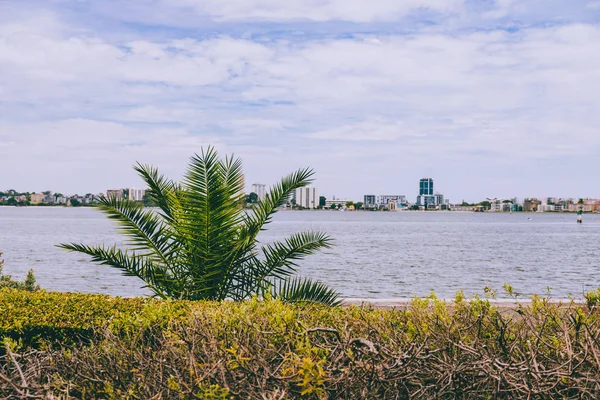 Spaziergang am Flussufer in Perth mit Palmen neben dem Meer — Stockfoto