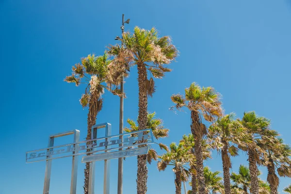 Scarborough beach sign with palm trees, one of the most popular — Stock Photo, Image