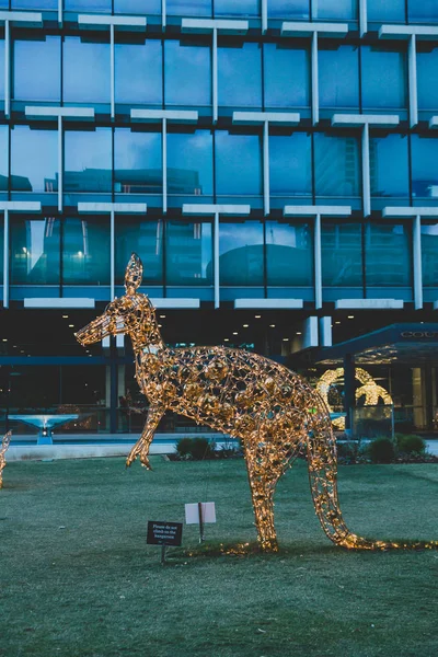 Ünnepi kenguru szobrok készült karácsonyi fények alkonyatkor — Stock Fotó