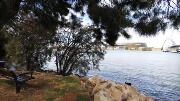 Perth Australia December 26Th 2019 View Matagarup Bridge Swan River — 비디오