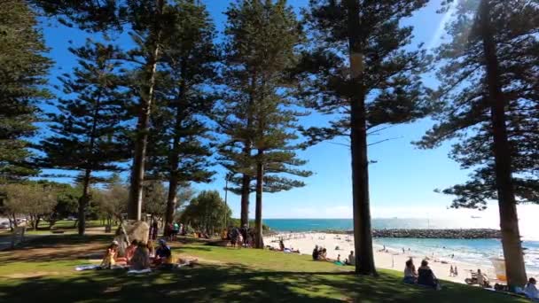 西澳大利亚珀斯 2019年12月27日 阳光明媚温暖的夏日 许多人在阳光下放松下来 在珀斯附近的科特斯拉海滩观光 — 图库视频影像