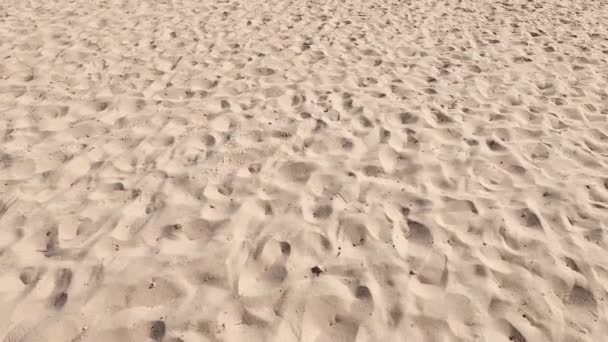 Перт Страховая Аустралия Января 2020 Года Вид Городской Пляж Недалеко — стоковое видео