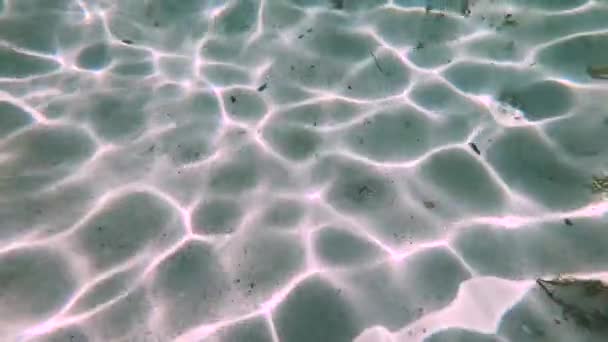 Fresh Clear Water Indian Ocean Shot Underwater Sunlight Reflection Sand — Stock Video