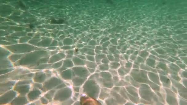 Mujer Nadando Agua Dulce Clara Del Océano Índico Con Reflejo — Vídeo de stock