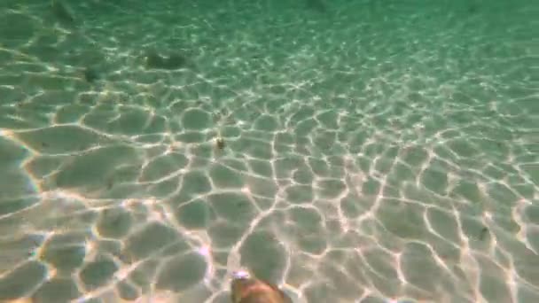 Woman Swimming Fresh Clear Water Indian Ocean Sunlight Reflection Sand — Stock Video