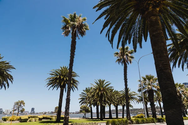 Detail of the Riverside walk along the Swan River from Perth CBD — 스톡 사진