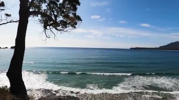 Widok Plażę Obok Tessalated Pavement Eaglehack Neck Półwyspie Tasman Tasmanii — Wideo stockowe