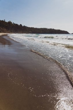 Eaglehack N 'deki Tessalated Pavement' in yanındaki sahil manzarası.