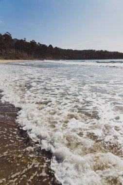 Eaglehack N 'deki Tessalated Pavement' in yanındaki sahil manzarası.