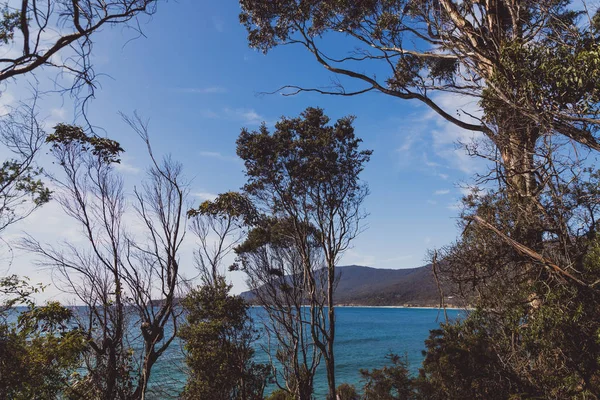 Blick auf den Strand neben dem gepflasterten Gehweg in Eaglehack n — Stockfoto