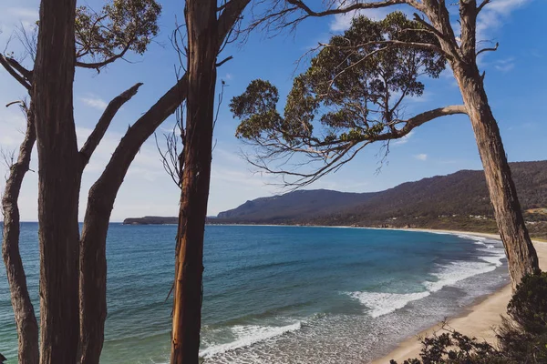 Vista da praia ao lado do pavimento Tessalated em Eaglehack N — Fotografia de Stock