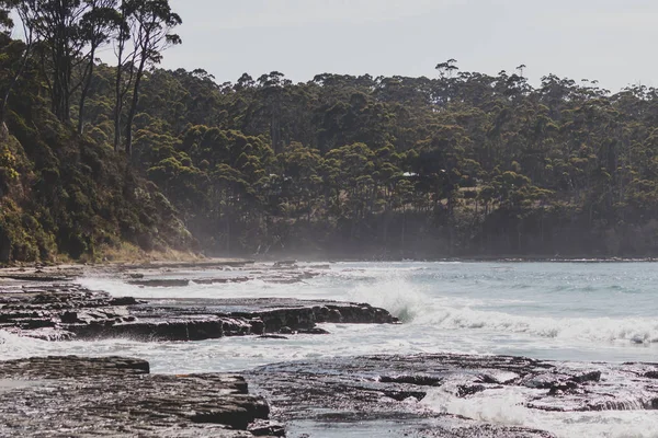 Άποψη του Tessalated Pavement στο Eaglehack Neck στο Tasman — Φωτογραφία Αρχείου