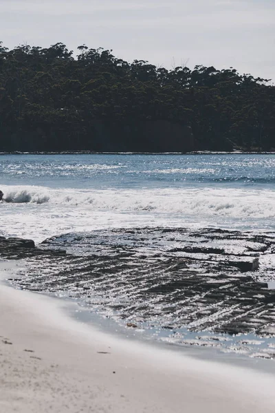 Uitzicht op de Tessalated Pavement in Eaglehack Neck in de Tasman — Stockfoto