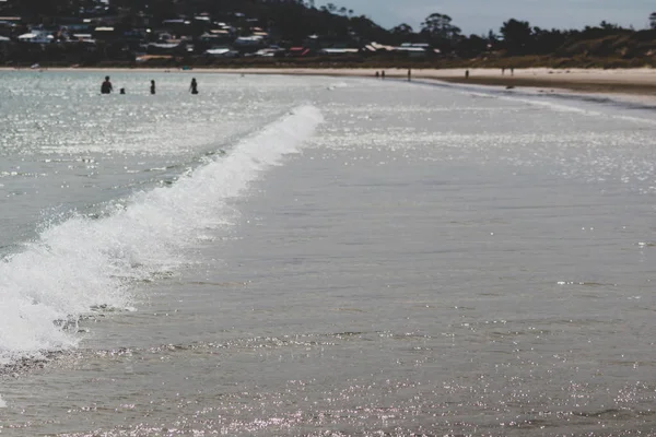 Small wave with seafoam shot at shallow depth of field on a warm — 스톡 사진