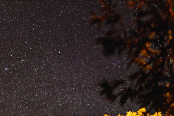 Sterrenhemel met extreem heldere omstandigheden waardoor veel van — Stockfoto