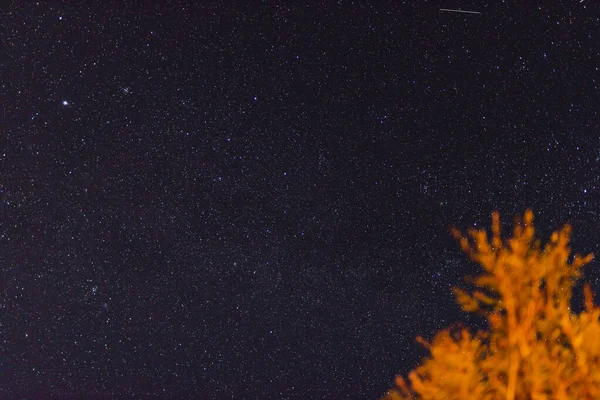 Céu estrelado noite com condições extremamente claras fazendo um monte de — Fotografia de Stock