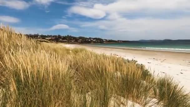 Primrose Sands Tasmania Enero 2020 Paisaje Playa Primrose Sands Tasman — Vídeos de Stock