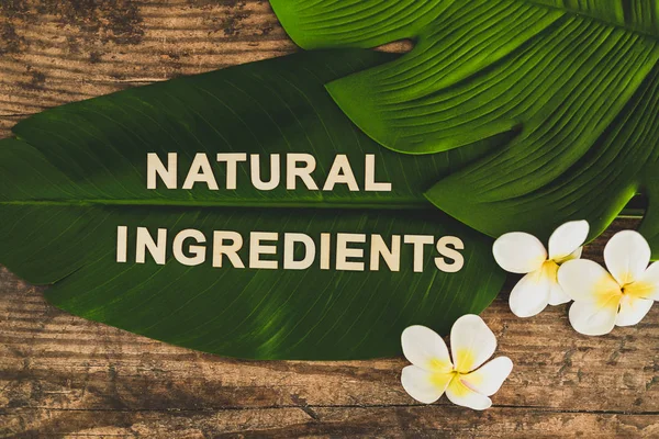 beauty industry and ethical vegan products, Natural Ingredients