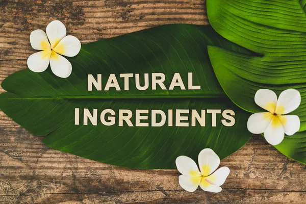 beauty industry and ethical vegan products, Natural Ingredients