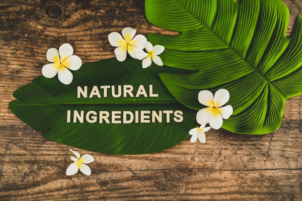 Schoonheidsindustrie en ethische veganistische producten, natuurlijke ingrediënten — Stockfoto