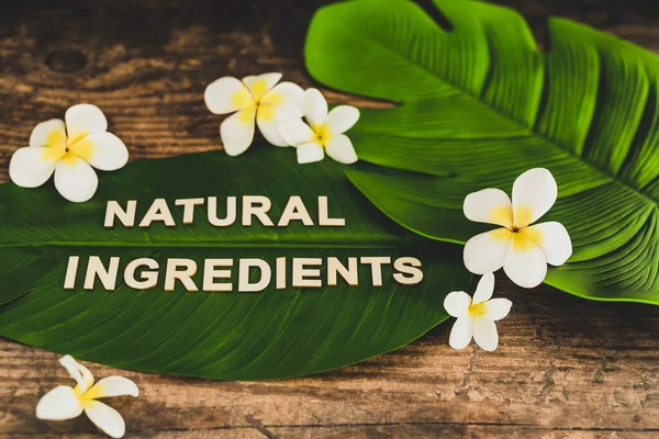 beauty industry and ethical vegan products, Natural Ingredients