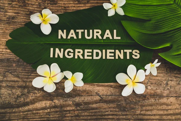 Beauty industry and ethical vegan products, Natural Ingredients — ストック写真