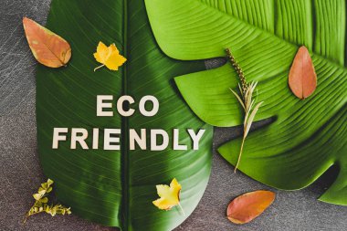 respect for the environemnt, Eco-friendly text on top of tropica