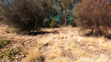 Derwent Nehri 'nin berrak suları ve güzel sahil şeridi ile Boronia Sahili' ndeki doğal manzara manzarası