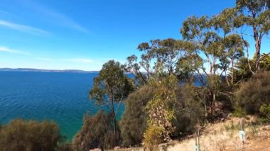 Derwent Nehri 'nin berrak suları ve güzel sahil şeridi ile Boronia Sahili' ndeki doğal manzara manzarası