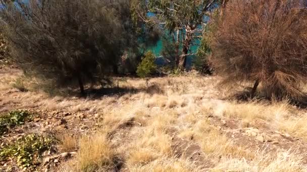 Vista Del Paisaje Natural Largo Pista Senderismo Boronia Beach Con — Vídeo de stock