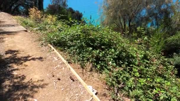 Utsikt Över Det Naturliga Landskapet Längs Boronia Beach Promenadväg Med — Stockvideo