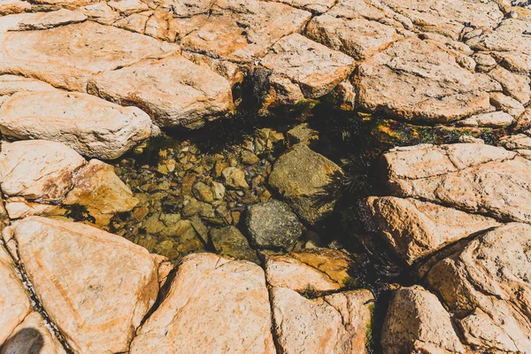 Pequeña Piscina Roca Natural Con Diminutos Peces Nadando Interior Disparado — Foto de Stock