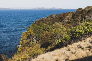 Hava kararmadan önceki güneşli bir yaz gününde Blackman Körfezi 'nden gelen su manzarası Hobart kenti yakınlarındaki en popüler plajlardan biridir.
