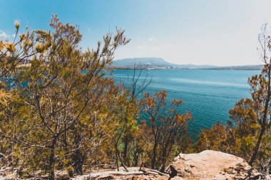 Vahşi Tazmanya manzarası ve Derwent Nehri 'nin el değmemiş turkuaz suyu Hobart' ın güneyindeki Coningham sahilinin yakınlarındaki Legacy Sahili yürüyüş pistinden görüldüğü gibi.