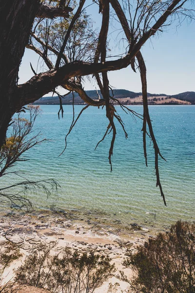 Wild Tasmanian Landscape Pristine Turquoise Water Derwent River Seen Legacy — Stock Photo, Image